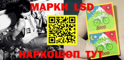 шишки Коммунар
